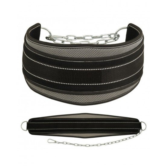 Gym Dipping Belts