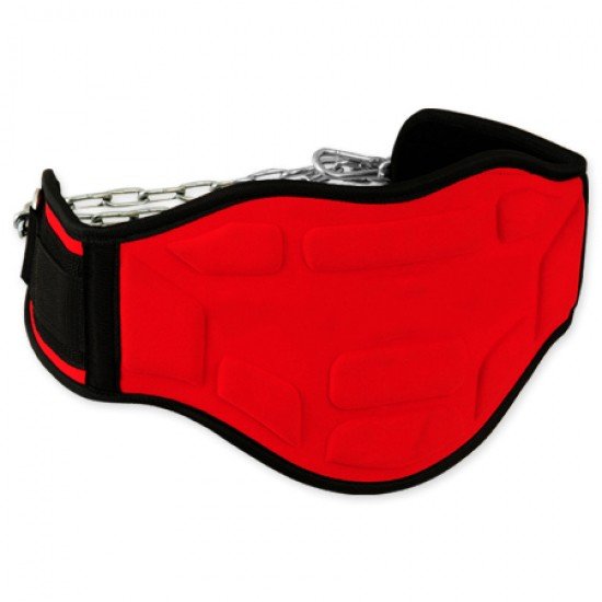 Gym Dipping Belts