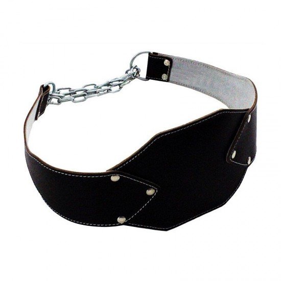 Gym Dipping Belts