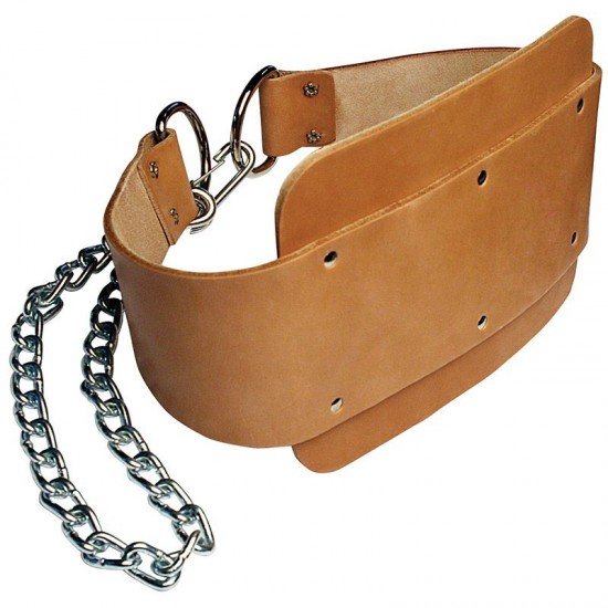 Gym Dipping Belts