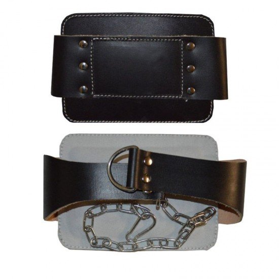 Gym Dipping Belts