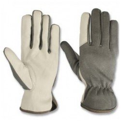 Safety Gloves 