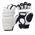 Taekwondo Gloves