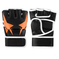 Taekwondo Gloves
