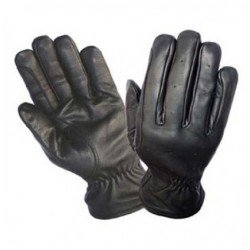 Riding Gloves
