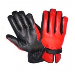 Riding Gloves