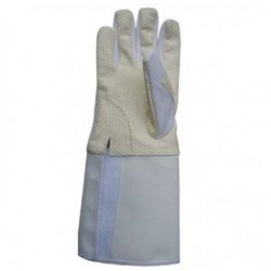 Fencing Gloves