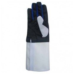 Fencing Gloves