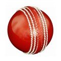 Cricket Balls